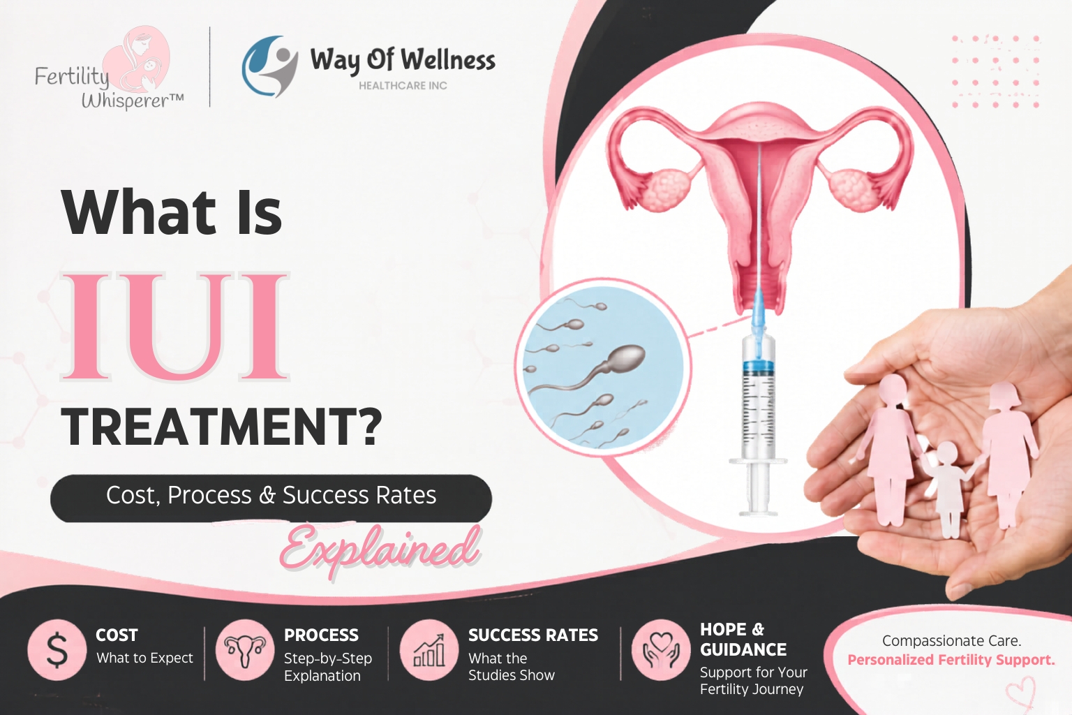IUI Treatment