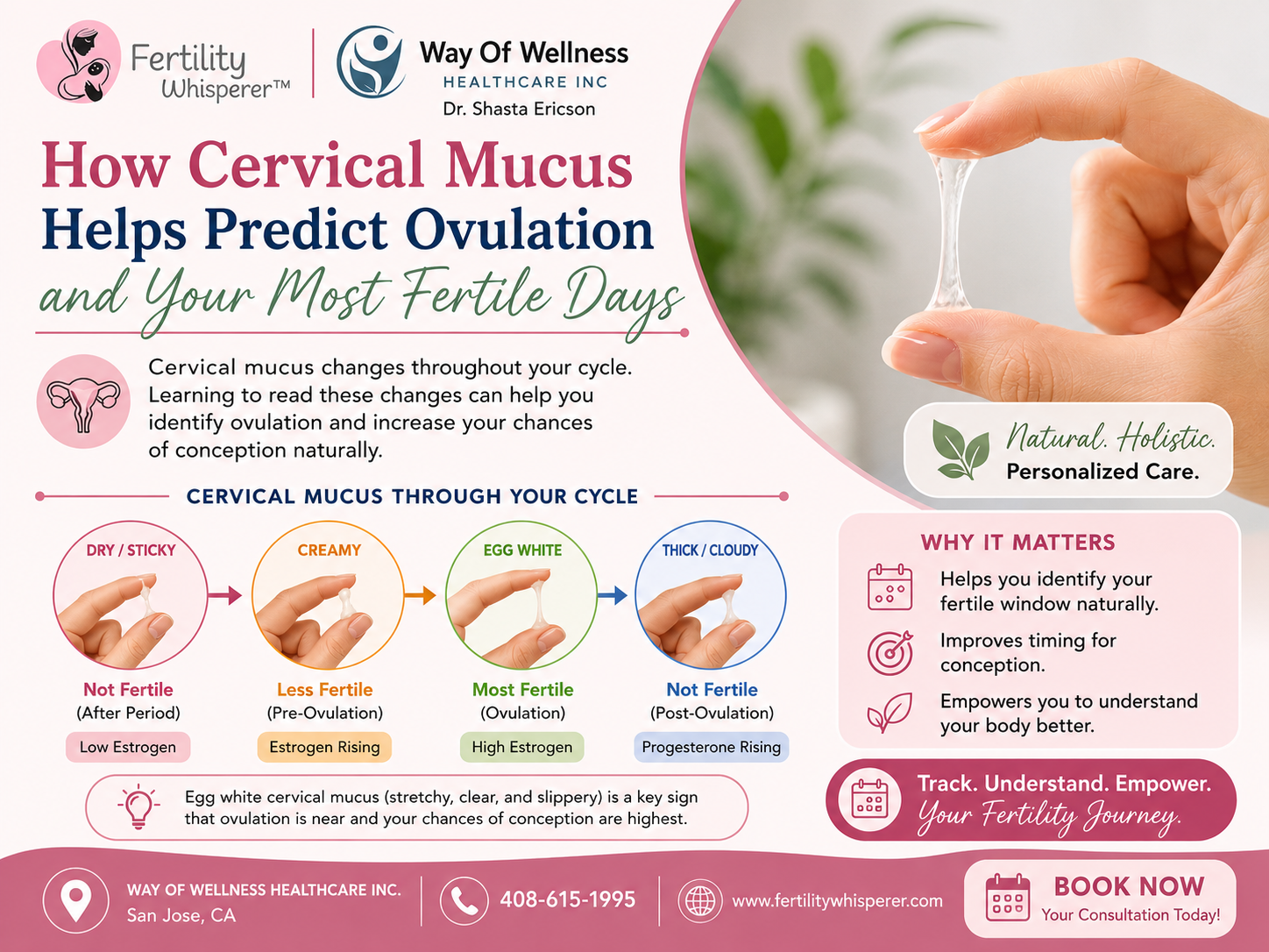 Egg White Cervical Mucus