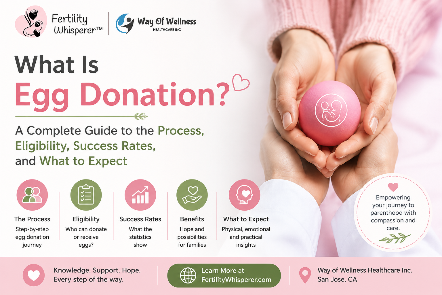 Egg Donation