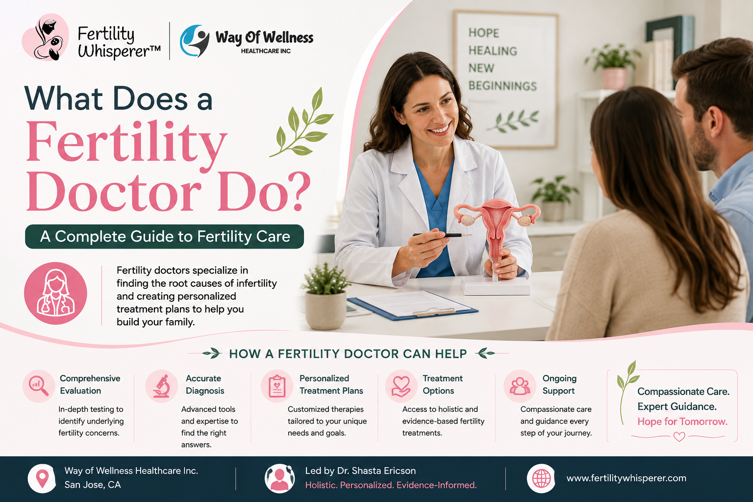 Fertility Doctor