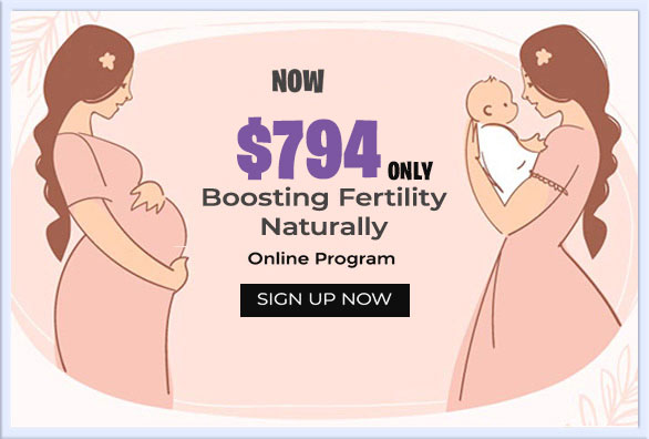 sign up for a 4 Step DIY Fertility Boosting Program